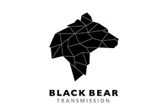 Black Bear Transmission